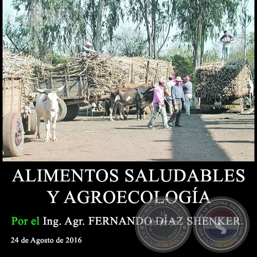 ALIMENTOS SALUDABLES Y AGROECOLOGÍA - Ing. Agr. FERNANDO DÍAZ SHENKER - 24 de Agosto de 2016